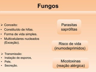 Fungos
 Conceito:
• Constituído de hifas.
• Forma de vida simples.
• Multicelulares nucleados
(Exceção).
 Transmissão:
• Inalação de esporos,
• Pele,
• Secreção.
Parasitas
saprófitas
Risco de vida
(inumodeprimidos)
Micotoxinas
(reação alérgica)
 