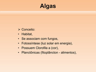 Algas
 Conceito:
• Habitat,
• Se associam com fungos,
• Fotossíntese (luz solar em energia),
• Possuem Clorofila a (cor),
• Planctônicas (fitoplâncton - alimentos),
 
