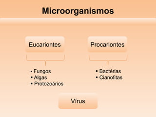 Microorganismos
Eucariontes Procariontes
Vírus
 Fungos
 Algas
 Protozoários
 Bactérias
 Cianofitas
 