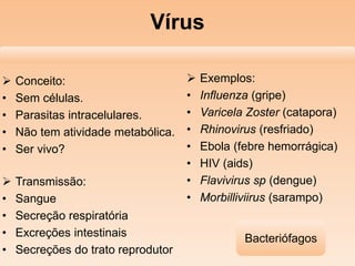  Conceito:
• Sem células.
• Parasitas intracelulares.
• Não tem atividade metabólica.
• Ser vivo?
Vírus
 Transmissão:
• Sangue
• Secreção respiratória
• Excreções intestinais
• Secreções do trato reprodutor
 Exemplos:
• Influenza (gripe)
• Varicela Zoster (catapora)
• Rhinovirus (resfriado)
• Ebola (febre hemorrágica)
• HIV (aids)
• Flavivirus sp (dengue)
• Morbilliviirus (sarampo)
Bacteriófagos
 