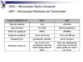 MOC – Microscópio Óptico Composto
MET – Microscópio Eletrônico de Transmissão
 