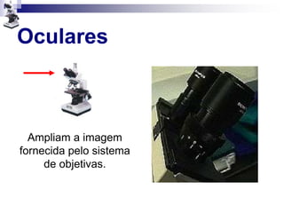 Oculares
Ampliam a imagem
fornecida pelo sistema
de objetivas.
 