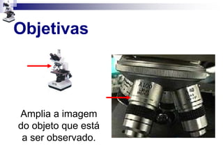 Objetivas
Amplia a imagem
do objeto que está
a ser observado.
 