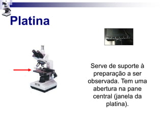 Platina
Serve de suporte à
preparação a ser
observada. Tem uma
abertura na pane
central (janela da
platina).
 