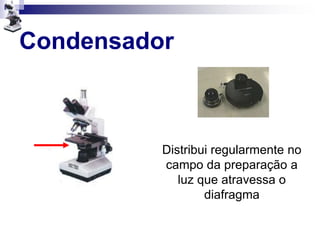 Condensador
Distribui regularmente no
campo da preparação a
luz que atravessa o
diafragma
 