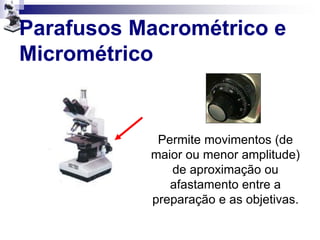 Parafusos Macrométrico e
Micrométrico
Permite movimentos (de
maior ou menor amplitude)
de aproximação ou
afastamento entre a
preparação e as objetivas.
 