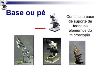 Base ou pé Constitui a base
de suporte de
todos os
elementos do
microscópio.
 
