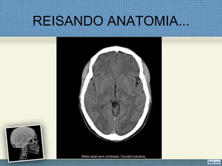 REISANDO ANATOMIA...
 