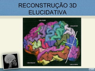 RECONSTRUÇÃO 3D
  ELUCIDATIVA
 