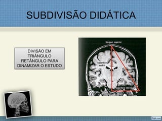 SUBDIVISÃO DIDÁTICA


    DIVISÃO EM
    TRIÂNGULO
  RETÂNGULO PARA
DINAMIZAR O ESTUDO
 