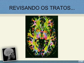 REVISANDO OS TRATOS...
 