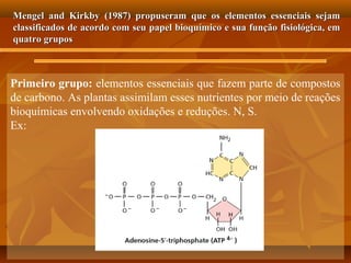 Mengel and Kirkby (1987) propuseram que os elementos essenciais sejam
classificados de acordo com seu papel bioquímico e sua função fisiológica, em
quatro grupos

Primeiro grupo: elementos essenciais que fazem parte de compostos
de carbono. As plantas assimilam esses nutrientes por meio de reações
bioquímicas envolvendo oxidações e reduções. N, S.
Ex:

 
