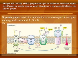 Mengel and Kirkby (1987) propuseram que os elementos essenciais sejam
classificados de acordo com seu papel bioquímico e sua função fisiológica, em
quatro grupos

Segundo grupo: nutrientes importantes na armazenagem de energia e
na integridade estrutural. P , Si e B.
Ex:

 
