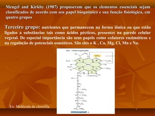 Mengel and Kirkby (1987) propuseram que os elementos essenciais sejam
classificados de acordo com seu papel bioquímico e sua função fisiológica, em
quatro grupos

Terceiro grupo: nutrientes que permanecem na forma iônica ou que estão
ligados a substâncias tais como ácidos pécticos, presentes na parede celular
vegetal. De especial importância são seus papéis como cofatores enzimáticos e
na regulação de potenciais osmóticos. São eles o K , Ca, Mg, Cl, Mn e Na.

Ex: Molécula de clorofila

 