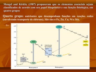 Mengel and Kirkby (1987) propuseram que os elementos essenciais sejam
classificados de acordo com seu papel bioquímico e sua função fisiológica, em
quatro grupos

Quarto grupo: nutrientes que desempenham funções em reações redox
(envolvendo transporte de elétrons). São eles o Fe, Zn, Cu, Ni e Mo.
Ex:

 