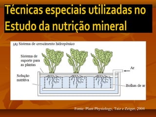 Fonte: Plant Physiology, Taiz e Zeiger, 2004

 