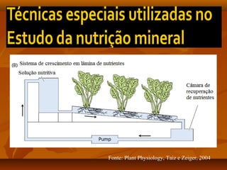 Fonte: Plant Physiology, Taiz e Zeiger, 2004

 