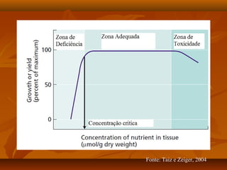 Fonte: Taiz e Zeiger, 2004

 