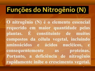 O nitrogênio (N) é o elemento essencial
requerido em maior quantidade pelas
plantas. É constituinte de muitos
compostos da célula vegetal, incluindo
aminoácidos e ácidos nucléicos, e
consequentemente
as
proteínas.
Portanto, a deficiência de nitrogênio
rapidamente inibe o crescimento vegetal.

 