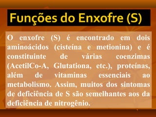 O enxofre (S) é encontrado em dois
aminoácidos (cisteína e metionina) e é
constituinte
de
várias
coenzimas
(AcetilCo-A, Glutationa, etc.), proteínas,
além
de
vitaminas
essenciais
ao
metabolismo. Assim, muitos dos sintomas
de deficiência de S são semelhantes aos da
deficiência de nitrogênio.

 