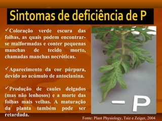 Coloração verde escura das
folhas, as quais podem encontrarse malformadas e conter pequenas
manchas
de
tecido
morto,
chamadas manchas necróticas.
Aparecimento da cor púrpura,
devido ao acúmulo de antocianina.
Produção de caules delgados
(mas não lenhosos) e a morte das
folhas mais velhas. A maturação
da planta também pode ser
retardada.

Fonte: Plant Physiology, Taiz e Zeiger, 2004

 
