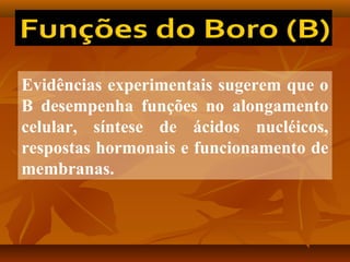 Evidências experimentais sugerem que o
B desempenha funções no alongamento
celular, síntese de ácidos nucléicos,
respostas hormonais e funcionamento de
membranas.

 