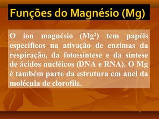 O íon magnésio (Mg2) tem papéis
específicos na ativação de enzimas da
respiração, da fotossíntese e da síntese
de ácidos nucléicos (DNA e RNA). O Mg
é também parte da estrutura em anel da
molécula de clorofila.

 