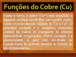 Como o ferro, o cobre (Cu2+) está associado a
algumas enzimas envolvidas nas reações redox,
sendo reversivelmente oxidado de Cu +a Cu2+. O
principal exemplo é o complexo citocromo
oxidase da cadeia de transporte de elétrons
mitocondrial (respiração). Outro exemplo é a
plastocianina, a qual está envolvida na
transferência de elétrons durante as reações de
luz da fotossíntese.

 