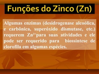 Algumas enzimas (desidrogenase alcoólica,
e carbônica, superóxido dismutase, etc.)
requerem Zn2+para suas atividades e ele
pode ser requerido para biossíntese de
clorofila em algumas espécies.

 