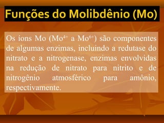 Os íons Mo (Mo4+ a Mo6+) são componentes
de algumas enzimas, incluindo a redutase do
nitrato e a nitrogenase, enzimas envolvidas
na redução de nitrato para nitrito e de
nitrogênio
atmosférico
para
amônio,
respectivamente.

 