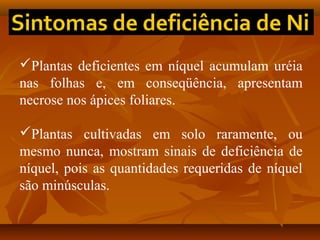 Plantas deficientes em níquel acumulam uréia
nas folhas e, em conseqüência, apresentam
necrose nos ápices foliares.
Plantas cultivadas em solo raramente, ou
mesmo nunca, mostram sinais de deficiência de
níquel, pois as quantidades requeridas de níquel
são minúsculas.

 
