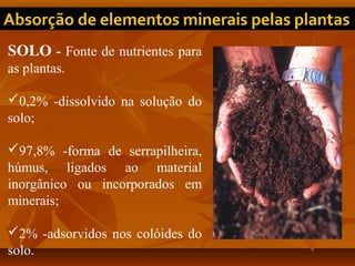 SOLO - Fonte de nutrientes para
as plantas.
0,2% -dissolvido na solução do
solo;
97,8% -forma de serrapilheira,
húmus, ligados ao material
inorgânico ou incorporados em
minerais;
2% -adsorvidos nos colóides do
solo.

 