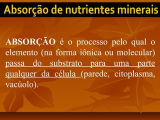ABSORÇÃO é o processo pelo qual o
elemento (na forma iônica ou molecular)
passa do substrato para uma parte
qualquer da célula (parede, citoplasma,
vacúolo).

 