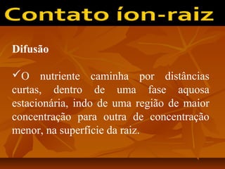 Difusão
O nutriente caminha por distâncias
curtas, dentro de uma fase aquosa
estacionária, indo de uma região de maior
concentração para outra de concentração
menor, na superfície da raiz.

 