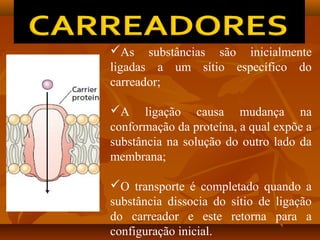 As substâncias são inicialmente
ligadas a um sítio específico do
carreador;
A ligação causa mudança na
conformação da proteína, a qual expõe a
substância na solução do outro lado da
membrana;
O transporte é completado quando a
substância dissocia do sítio de ligação
do carreador e este retorna para a
configuração inicial.

 