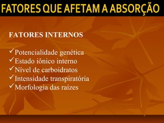 FATORES INTERNOS
Potencialidade genética
Estado iônico interno
Nível de carboidratos
Intensidade transpiratória
Morfologia das raízes

 