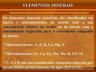 ELEMENTOS MINERAIS
Os elementos minerais essenciais são classificados em
macro e micronutrientes de acordo com a sua
concentração relativa no tecido ou de acordo com a
concentração requerida para o crescimento adequado
da planta.
Macronutrientes: N, P, K, Ca, Mg, S.
Micronutrientes: Fe, Cu, Zn, Mn, Mo, B, Cl e Ni.
C, O e H não são considerados elementos minerais por
serem obtidos primariamente da água H2O e CO2.

 