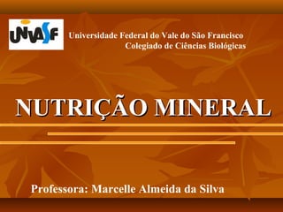 Universidade Federal do Vale do São Francisco
Colegiado de Ciências Biológicas

NUTRIÇÃO MINERAL
Professora: Marcelle Almeida da Silva

 
