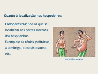 Endoparasitas: são os que se
localizam nas partes internas
dos hospedeiros.
Exemplos: as tênias (solitárias),
a lombriga, o esquistossomo,
etc.
Quanto à localização nos hospedeiros:
esquistossomose
 