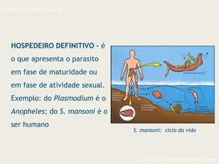 Aula 1- Introdução à parasitologia
PARASITOLOGIA BÁSICA
HOSPEDEIRO DEFINITIVO - é
o que apresenta o parasito
em fase de maturidade ou
em fase de atividade sexual.
Exemplo: do Plasmodium é o
Anopheles; do S. mansoni é o
ser humano
S. mansoni: ciclo da vida
 