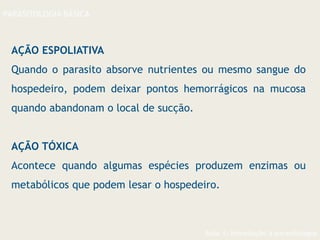 Aula 1- Introdução à parasitologia
PARASITOLOGIA BÁSICA
AÇÃO ESPOLIATIVA
Quando o parasito absorve nutrientes ou mesmo sangue do
hospedeiro, podem deixar pontos hemorrágicos na mucosa
quando abandonam o local de sucção.
AÇÃO TÓXICA
Acontece quando algumas espécies produzem enzimas ou
metabólicos que podem lesar o hospedeiro.
 