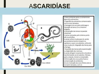 ASCARIDÍASE
 