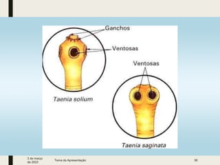 3 de março
de 2023
Tema da Apresentação 38
 