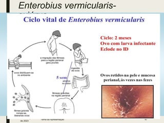 Enterobius vermicularis-
oxiúrus
3 de março
de 2023
Tema da Apresentação 47
 