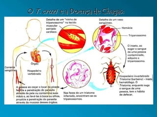 3 de março
de 2023
Tema da Apresentação 49
 