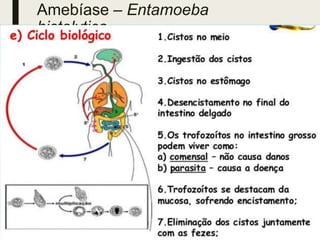 Amebíase – Entamoeba
histolytica
3 de março
de 2023
Tema da Apresentação 53
 