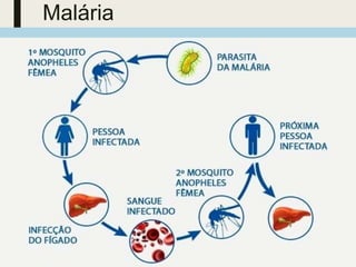 Malária
3 de março
de 2023
Tema da Apresentação 55
 