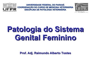 Patologia do Sistema Genital Feminino ,[object Object],UNIVERSIDADE FEDERAL DO PARANÁ COORDENAÇÃO DO CURSO DE MEDICINA VETERINÁRIA DISCIPLINA DE PATOLOGIA VETERINÁRIA 