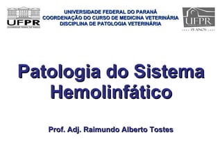Patologia do Sistema Hemolinfático ,[object Object],UNIVERSIDADE FEDERAL DO PARANÁ COORDENAÇÃO DO CURSO DE MEDICINA VETERINÁRIA DISCIPLINA DE PATOLOGIA VETERINÁRIA 