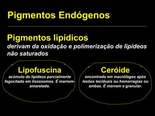 Pigmentos lipídicos derivam da oxidação e polimerização de lipídeos não saturados Pigmentos Endógenos Ceróide encontrado em macrófagos após lesões teciduais ou hemorragias ou ambas. É marrom e granular. Lipofuscina acúmulo de lipídeos parcialmente fagocitado em lisossomos. É marrom-amarelado. 